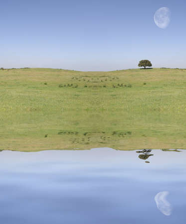 field landscape with moon reflex on the waterの写真素材