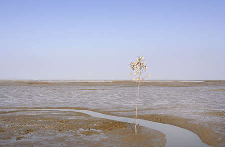 landscape illustrating the global warming の写真素材