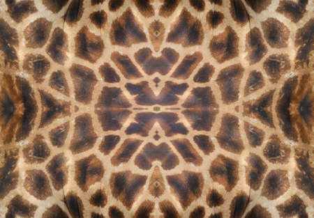 pattern made of giraffe skinの写真素材
