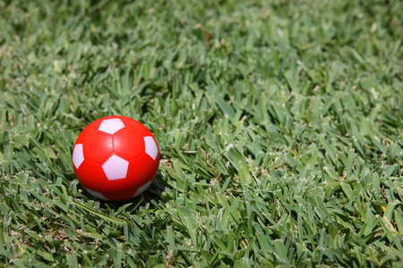 soccer ball in the grassの写真素材