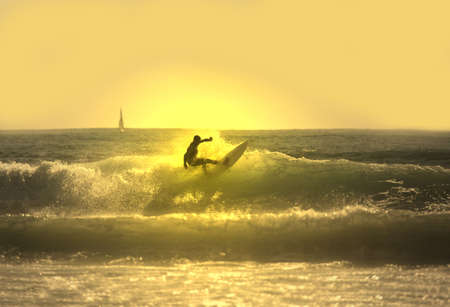 surfer rides a wave at sunset