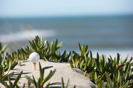 golf ball on top of the dimpleの写真素材