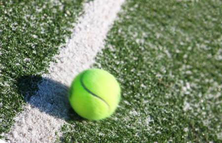 Tennis ball on the court lineの写真素材