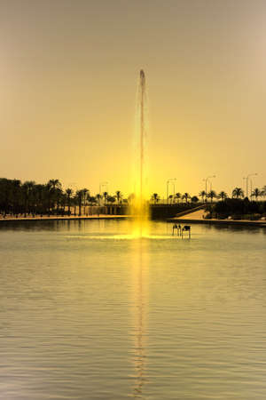 Mar park in Majorca - spainの写真素材