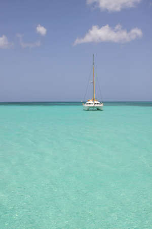 catamaran in saona beach - caribbean seaの写真素材