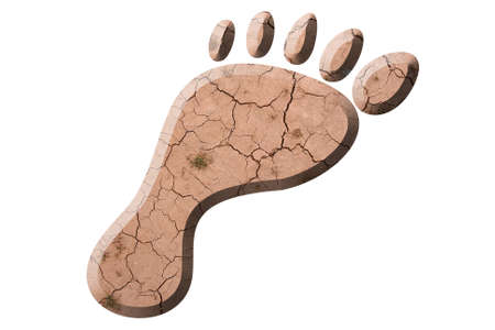 top view of a several feet made of grassの写真素材