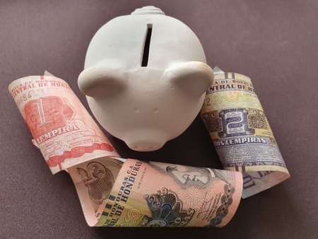 white piggy bank and honduran banknotes of different denominationsの写真素材