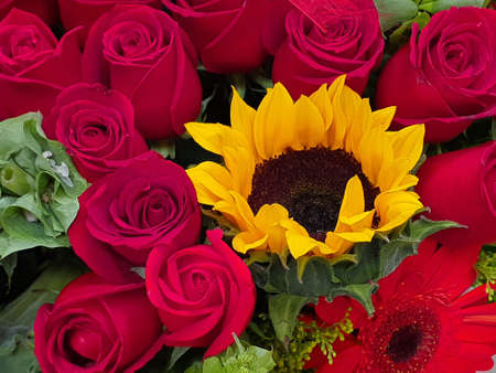 sunflower and red rose flowers in a floral arrangementの写真素材