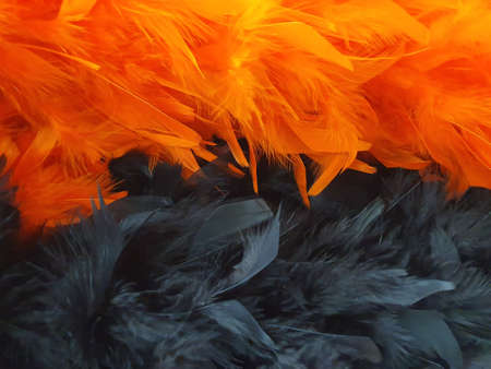 approach to lot of feathers in orange and black colors, background and texture