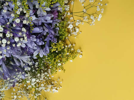 purple agapanthus flower in a floral bouquet and yellow backgroundの写真素材