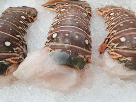 fresh and raw lobster on ice in a marketの写真素材
