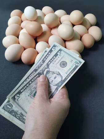 hand of a person paying with american dollar money for organic chicken egg