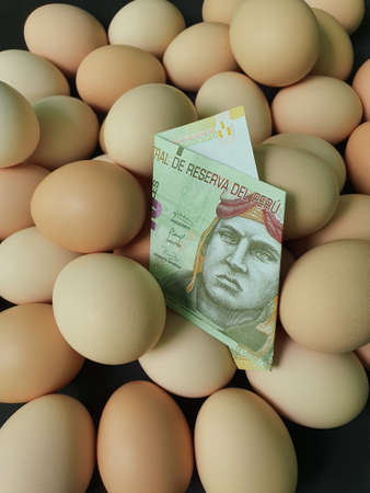 price in consumption and production cost of egg, peruvian banknote of ten soles and heap of organic...