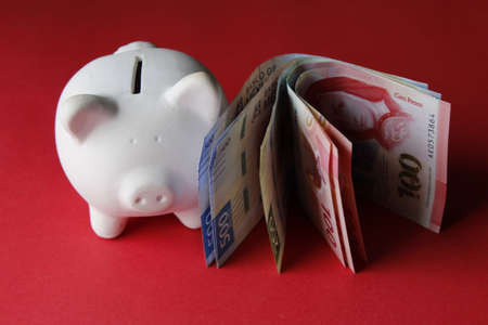 white piggy bank and mexican banknotes on the red backgroundの写真素材