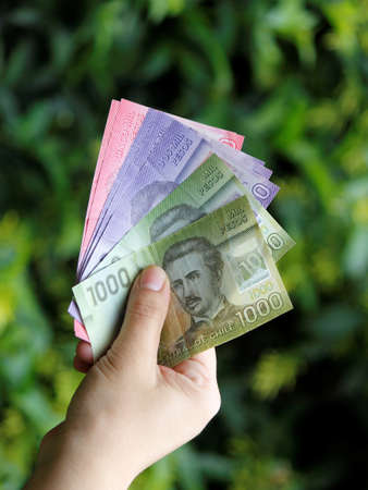 hand of a woman holding chilean banknotes in a gardenの写真素材