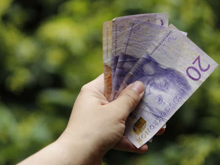 hand of a woman holding swedish banknotes in a garden
