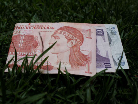 approach to stacked honduran banknotes on green grass
