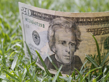 approach to american banknote of twenty dollars on green grassの写真素材