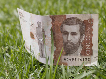 approach to Colombian banknote of 5000 pesos on green grassの写真素材