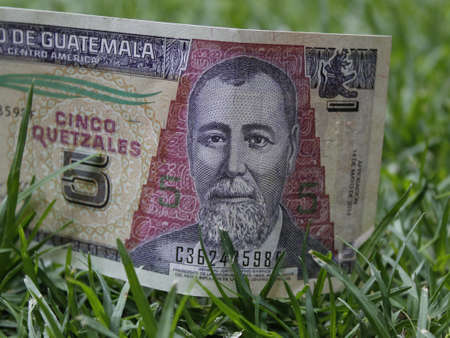approach to guatemalan banknote of five quetzales on green grassの写真素材