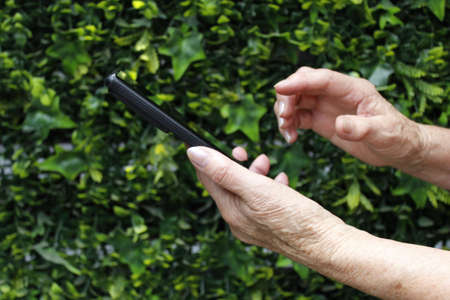 hands of an older woman holding a smartphone in a gardenの写真素材