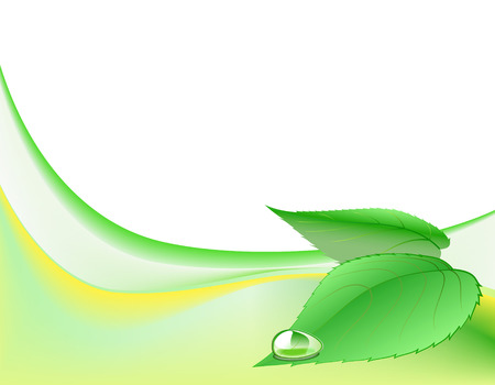 Green leaves with water drop are shown in the picture.のイラスト素材