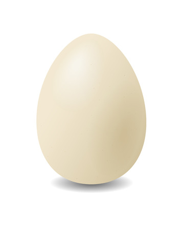 Egg on a white background is shown in the picture.のイラスト素材