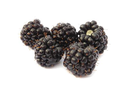 Berries blackberries on white background are shown in the picture.の写真素材