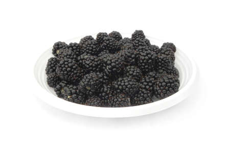  Blackberries are on a plate on white background                               