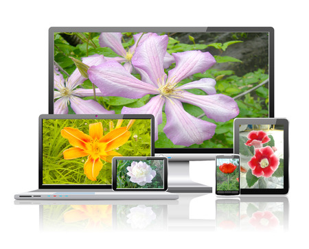 Laptop, tablet pc, mobile phone, TV and navigator with flower wallpaperの写真素材