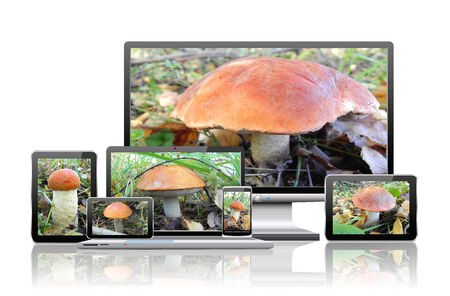 TV, laptop, tablet, cell phone, smart phone, navigator are on a white background.の写真素材