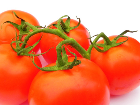 Red ripe tomatoes on the green branch on white background.の写真素材