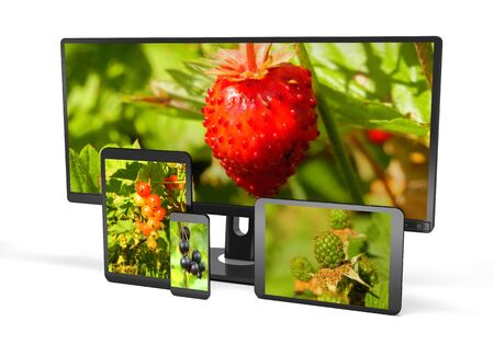 Electronic gadgets and berry concept on whiteの写真素材