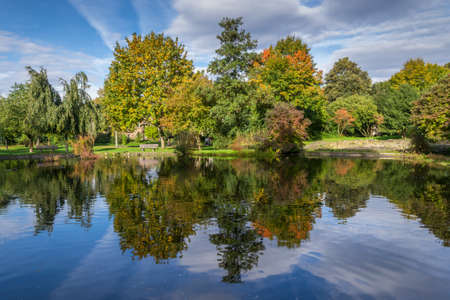 Reflections in autumnal park