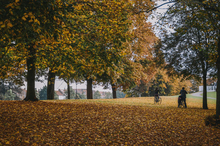 A young couple rides bicycles in an autumn parkの写真素材