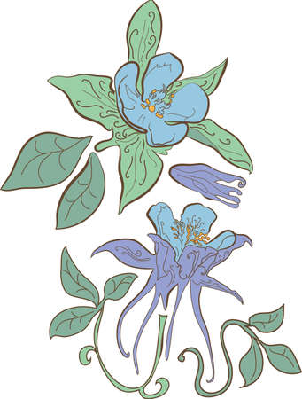 Flower aquilegia outline sketch  set hand drawingのイラスト素材