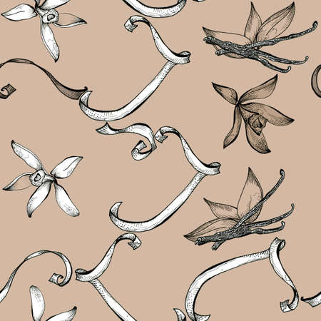 Flower vanilla sketch  seamless pattern hand drawingの写真素材