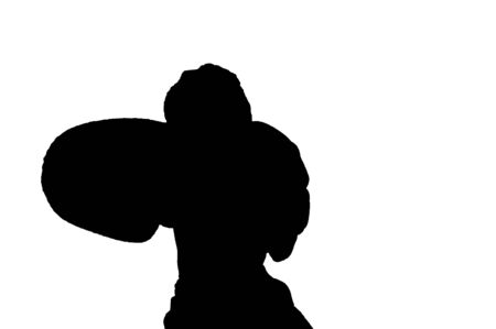 Silhouette of boxerの写真素材