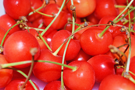 Cherryの写真素材