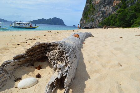 Driftwood on the beach in El Nidoのeditorial素材