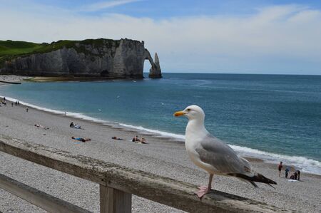 Etretat in Normandy, Franceの写真素材
