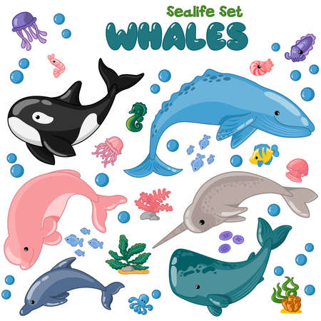Vector set with whales and sea animals. Funny cartoon isolated collection sealife on white background. Orca, beluga, sperm whale, dolphin, narwhal, humpbackのイラスト素材