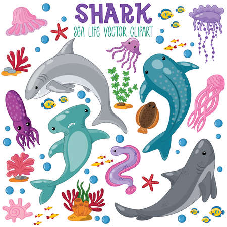 Seal life shark vector collectionのイラスト素材
