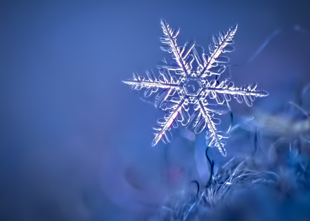 Macro Image of a Snowflake on a Wool Hat