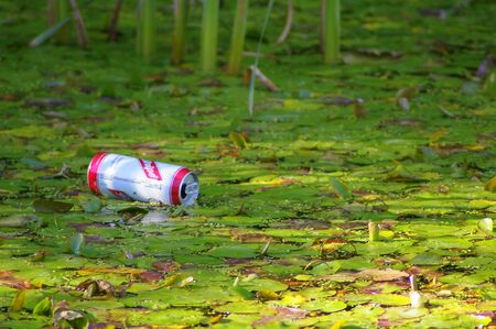 Manchester / UK - CIRCA 2008: Discarded beer can resting on vegetation in a pondの写真素材