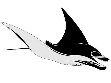Manta Ray, tattooのイラスト素材