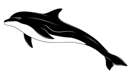 Dolphin, tattooのイラスト素材