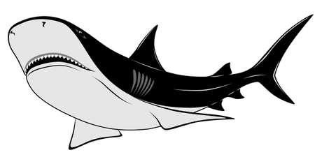  Predatory shark with an open mouth in the form of a tattooのイラスト素材