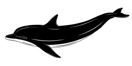 Dolphin, tattooのイラスト素材