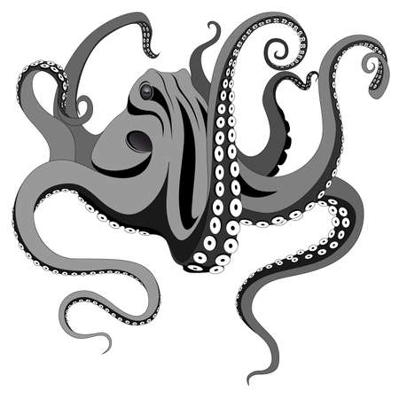Octopus represented in the form of a tattoo.のイラスト素材